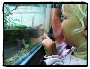 Ella chats to the turtle