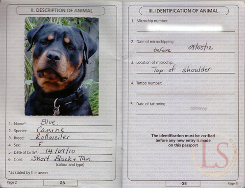 How Easy Take Dog France dog passports UK