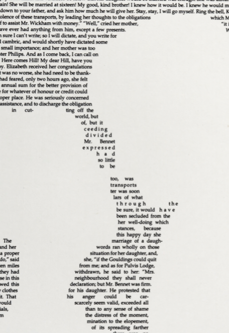 pride and prejudice poster