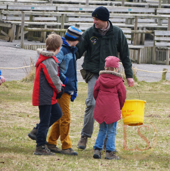 hawk conservancy kite feeding