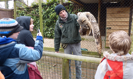 hawk conservancy