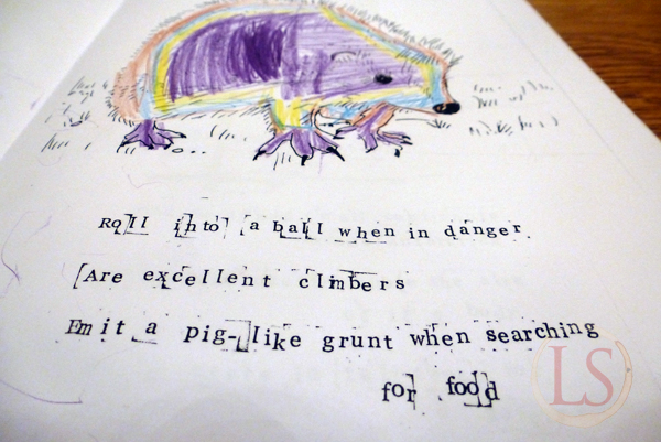 wildlife colouring book hedgehog