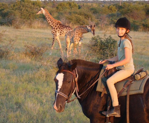 horse riding safari in south africa