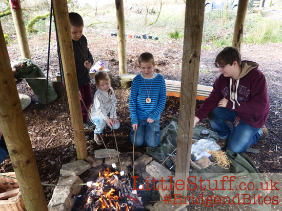 toasting marshmallows on bushcraft fire