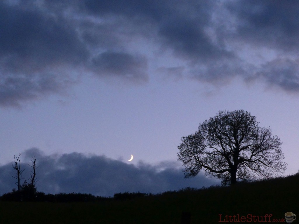 Sitting out after darkness had fallen, watching the bats swoop in and out of the barn, seeing the moon rise over the hill behind us. What a way to end every perfect day.