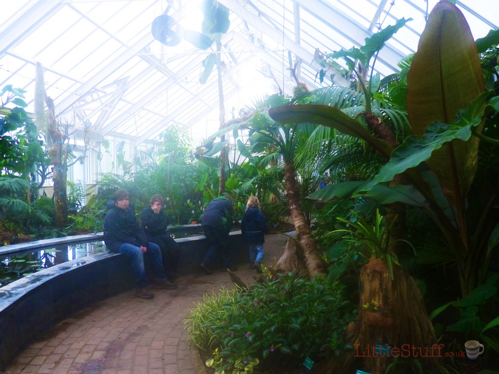 garden_of_wales_hothouse