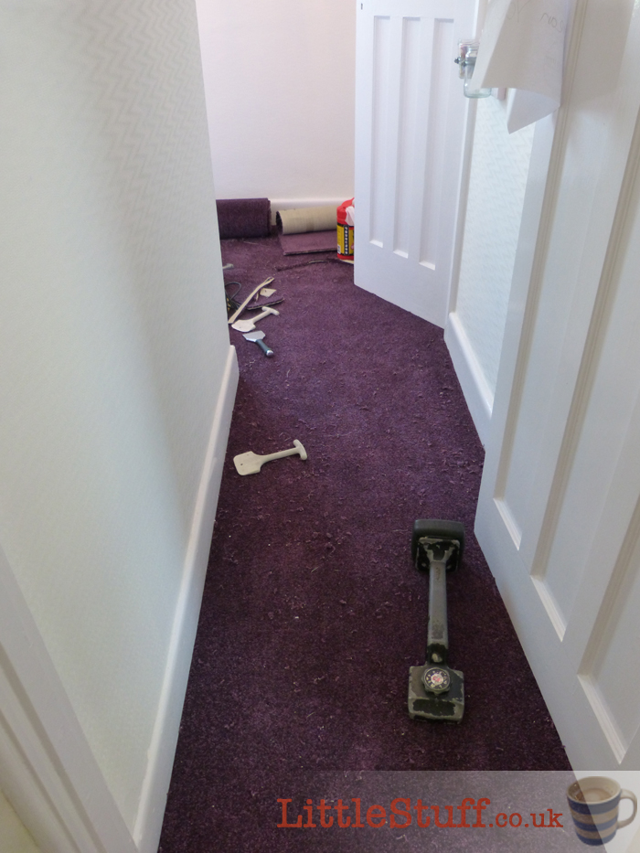 purple-for-girls-bedroom-carpet
