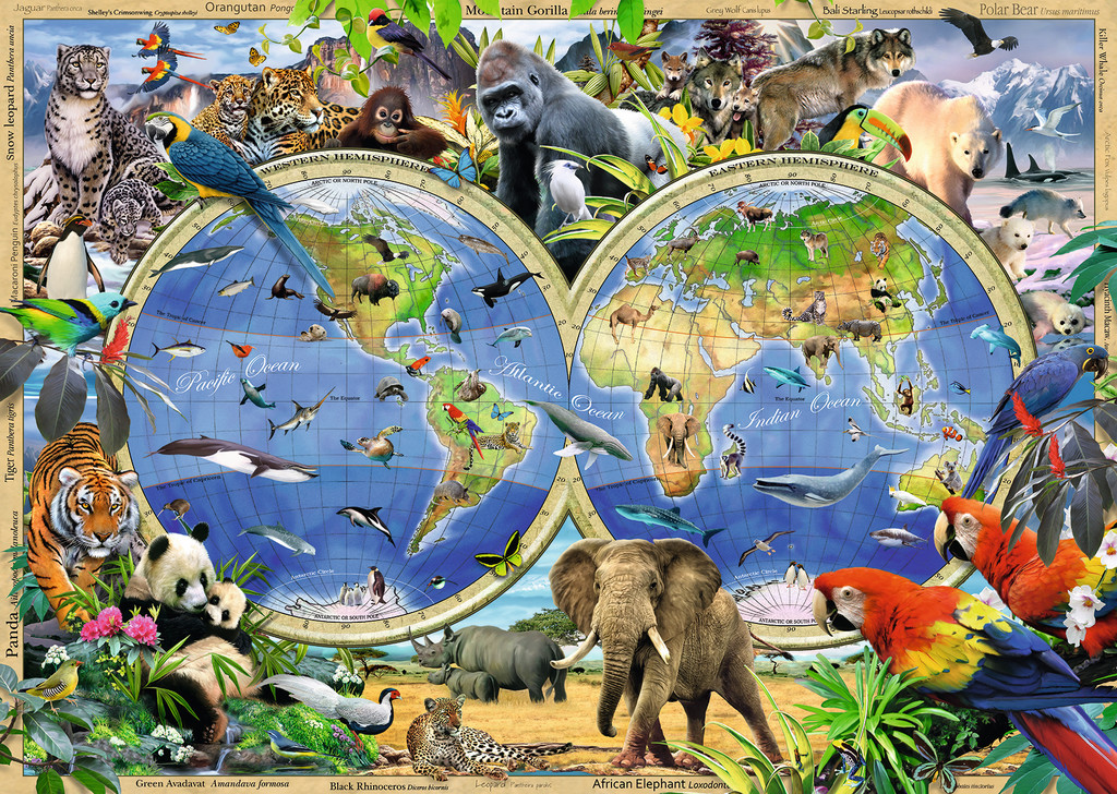 LOVE this 1,000 piece world of wildlife puzzle. Can see me and the 7yr old filling a long winter's afternoon doing this one together...