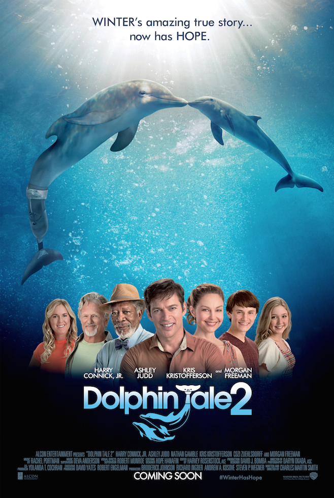 win Dolphin Tale 2 toy