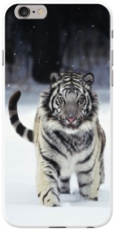white-tiger-phone-case