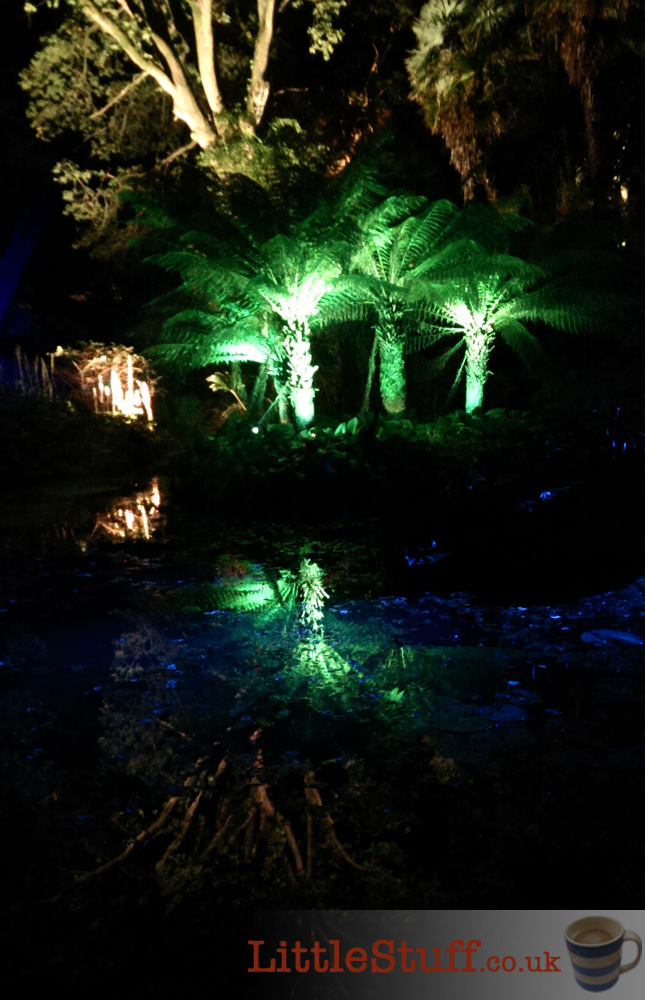 abbotsbury-enchanted-illuminations-reflection