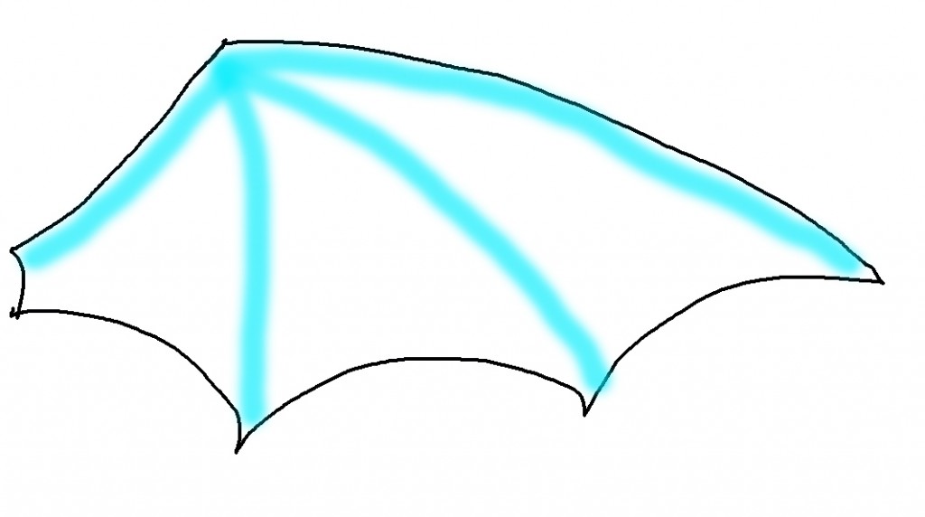bat-wing-shape-veins