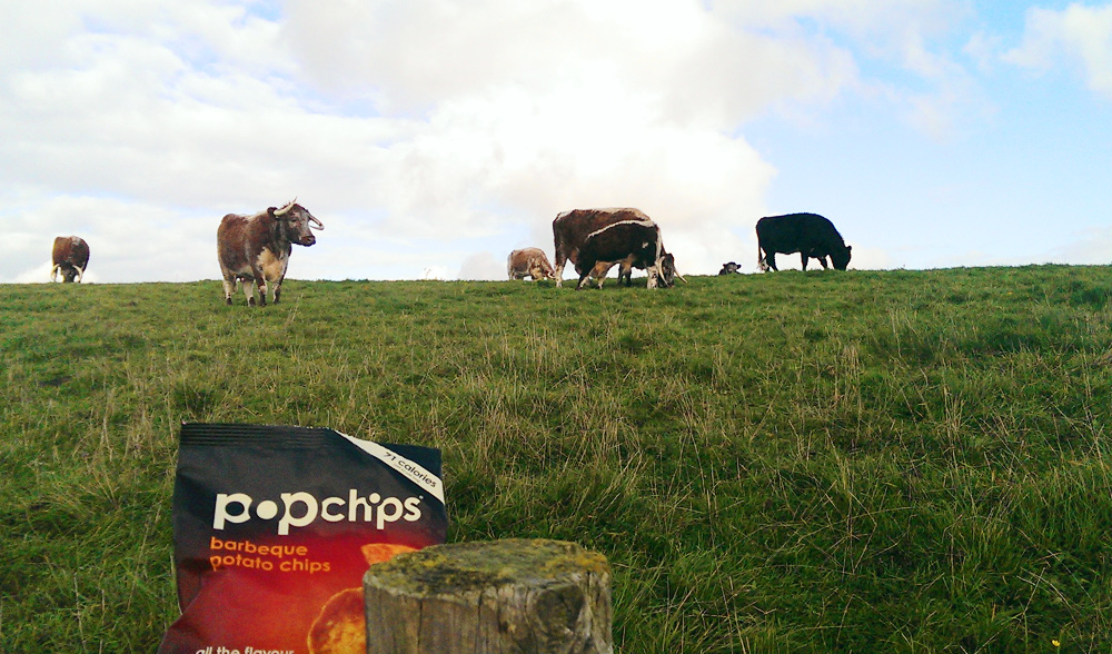 popchips-getpopped-watching-cows