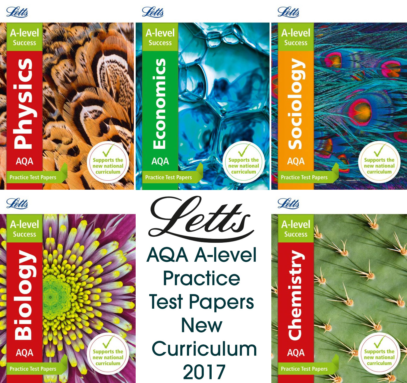 aqa a level practice papers