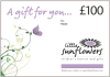£100 Little Sunflowers Gift Voucher