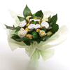 BabyBlooms