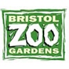 Bristol Zoo