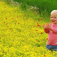 Three Bags Full Merino Childrenswear Review…