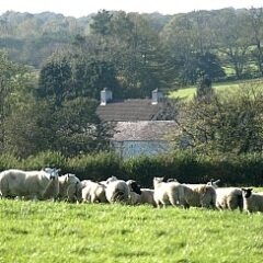 Self Catering in Wales – Us Style… (with @OwnersDirect)