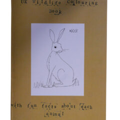 Quirky – but Amazingly Brilliant – Wildlife Colouring Book from artist Sarah Lovell