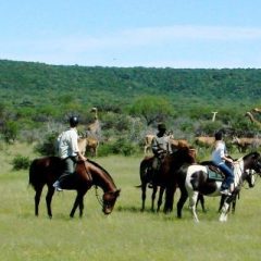 In The Saddle Worldwide Riding Holidays – South Africa Ants Lodges – Family Holidays with a Twist