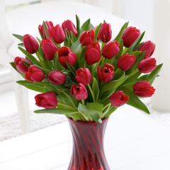 Valentine’s Flowers – it’s not just about the red roses…