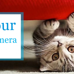 Show us your #PetsCaughtOnCamera and WIN!