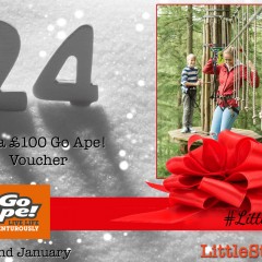 CLOSING SOON! Win £100 Gift Voucher for Go Ape! | #LittleStuff24