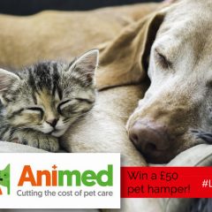 WIN a £50 Animed Pet Hamper! | #LittleStuff24