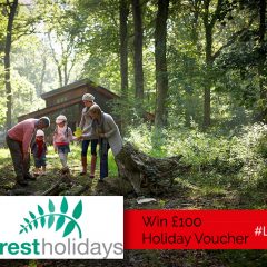 Win a £100 Voucher For a Luxury Forest Holidays Escape | #LittleStuff24