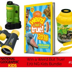 Win a fabulous £70 ‘Weird But True!’ Bundle of NG Kids goodies!| #LittleStuff24