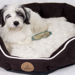 VioPet Ziggy’s Zzz Dog Bed | #ChristmasGiftGuide