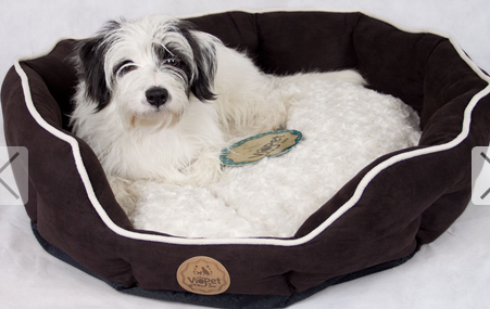 VioPet Ziggy's Zzz Dog Bed | #ChristmasGiftGuide