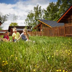 Forest Holidays – fancy a last minute tree house break?