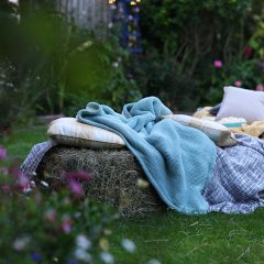 How to create an outdoor cinema in your back garden