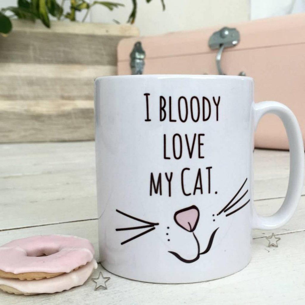 Best Mug Gift Guide I bloody love my cat mug