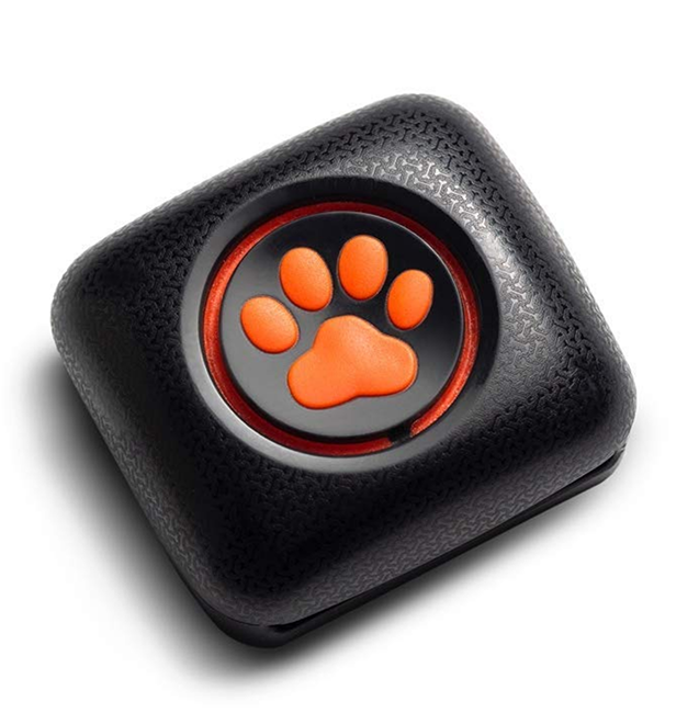 PitPat Dog Activity Monitor and Fitness Tracker