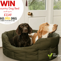 Win a Country Dog Waterproof Dog Bed – worth up to £114!