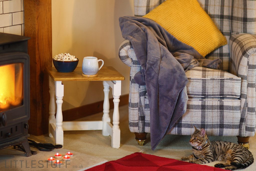 Firelit cosy corner retreat scene with Bengal cat