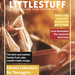 Littlestuff magazine – November 21