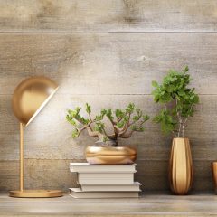 6 Decor Items That Attract Good Energy To Your House