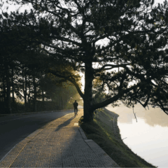 Because Grown-Ups Need Playtime Too: Finding Your Evening Escape