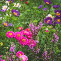 Blooming Intelligence: How AI is Transforming the Flower Industry