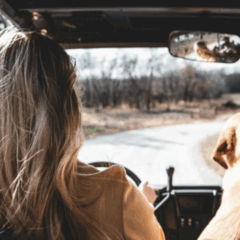 Why Driving Is the Ultimate Freedom for Women’s Road Trips