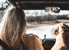 Why Driving Is the Ultimate Freedom for Women’s Road Trips