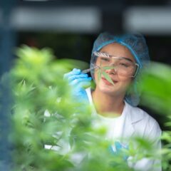 Is medical cannabis worth considering for everyday health concerns?