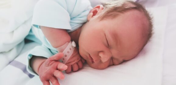 The small feeding essentials that make everyday parenting easier